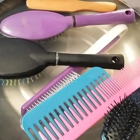 Lad os bade vores børster og kamme! Hvordan gør man det og hvilke produkter skal man bruge?